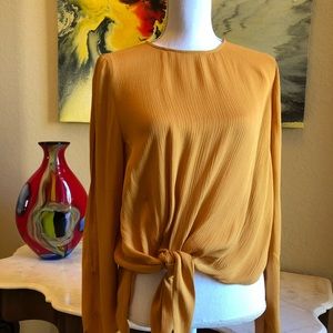 ZARA WOMAN Yellow Gold Top NWOT